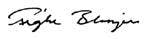 Tighe Blazier signature