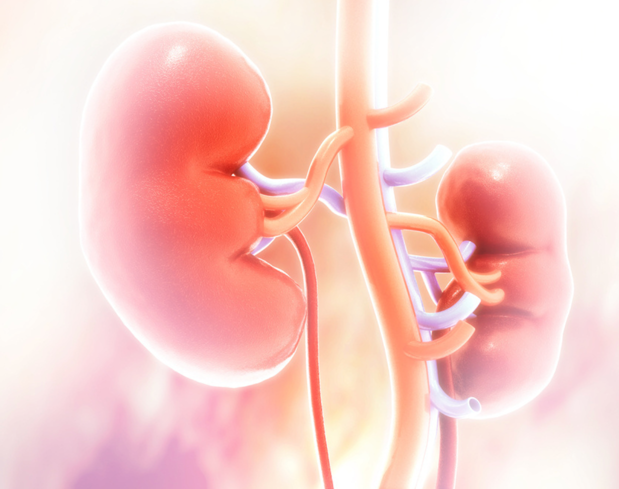 Rosuvastatin Linked to Signs of Kidney Damage