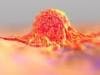 Turning off Cancer Master Switch May Worsen Tumor Growth
