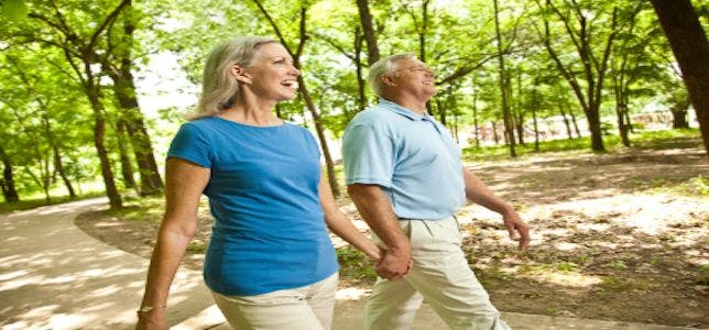 Improving Lifestyle Factors Such as Diet, Exercise Could Lessen Cognitive Decline