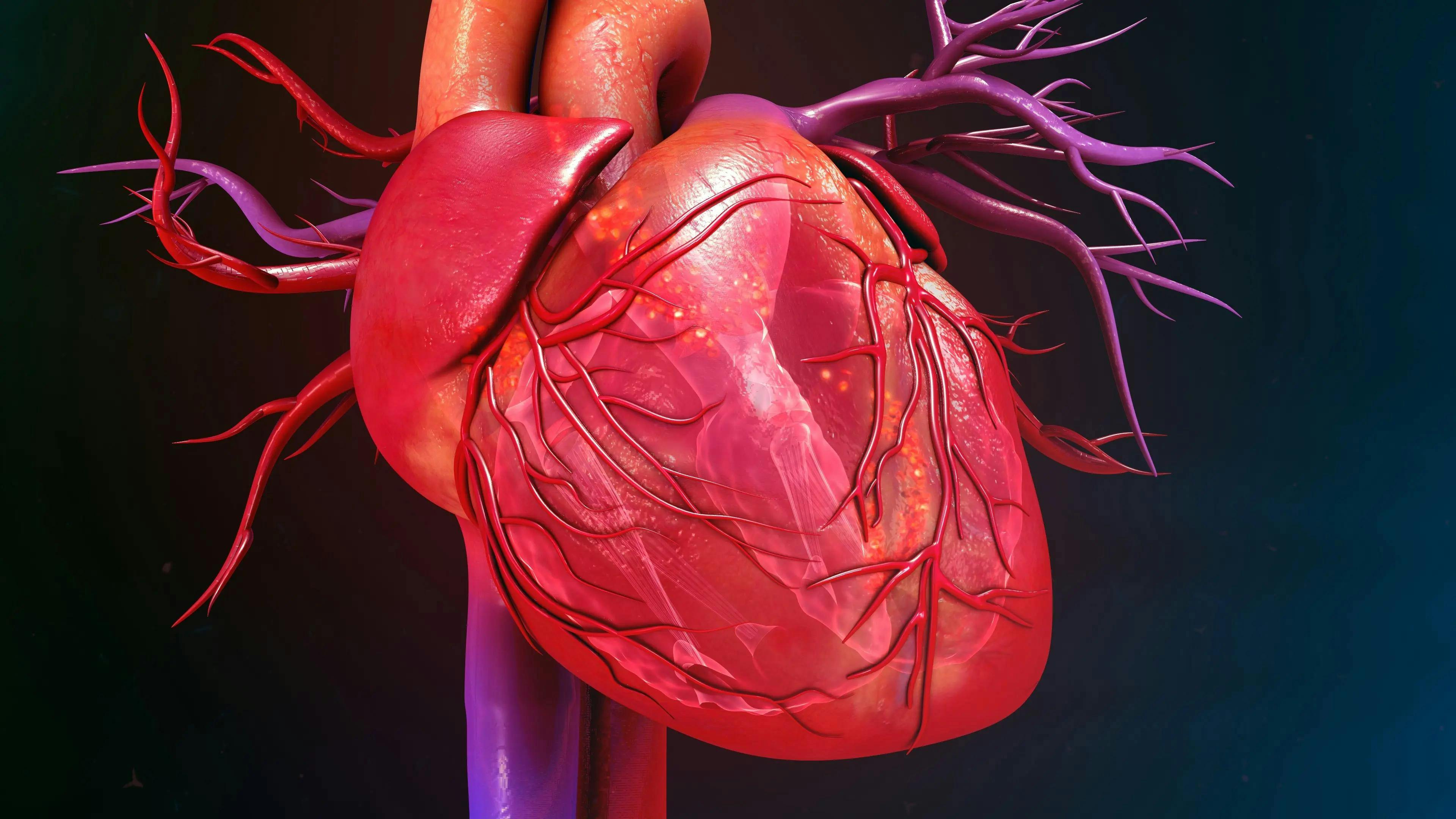 Study Results Link COVID-19 to Higher Risk of Cardiovascular Disease, Death
