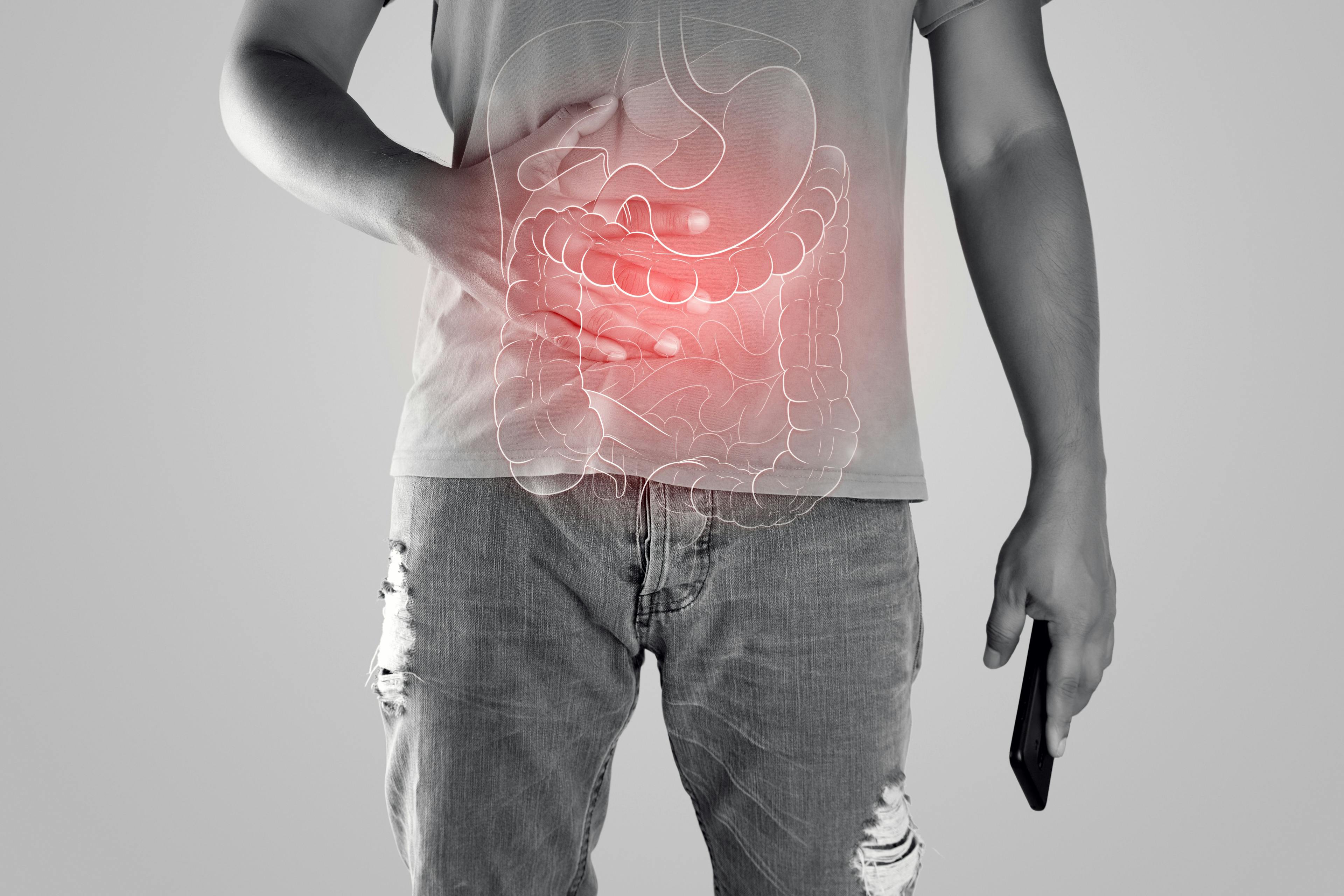 Illustration of internal organs is on the man body against the gray background. Peopel touching stomach painful suffering from enteritis. internal organs of the human body