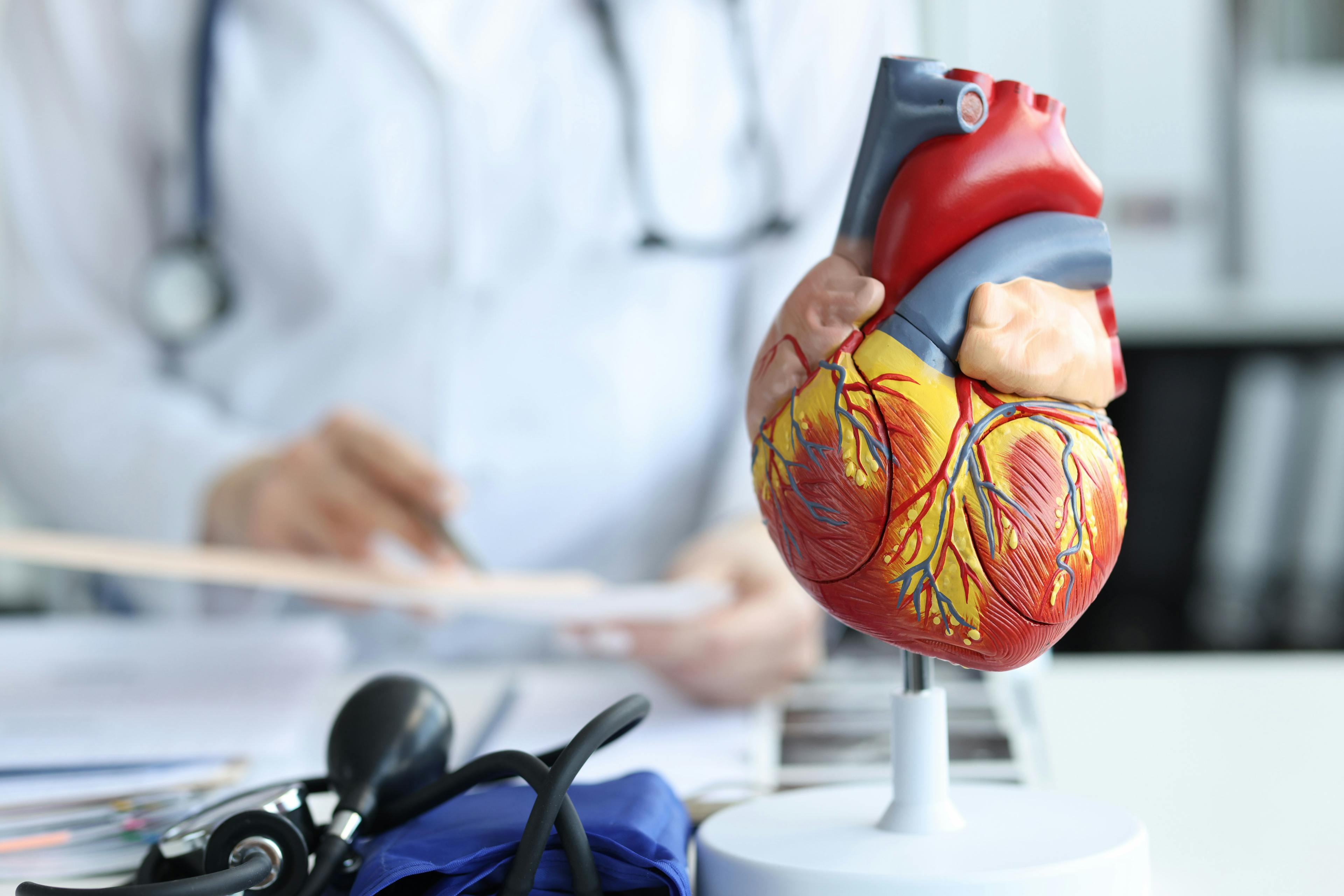 Artificial plastic model of human heart standing against background of cardiologist closeup | Image Credit: H_Ko - stock.adobe.com