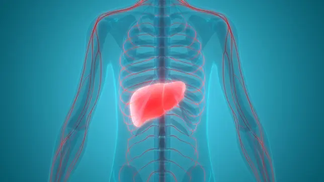 Keytruda Meets Endpoints in KEYNOTE Trial, Treatment of Hepatocellular Carcinoma