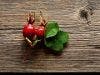 Rosehips Show Promise in Preventing Breast Cancer
