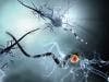 Multiple Sclerosis Effects go Beyond Physical Problems