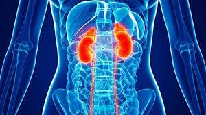 Study: Limited Global Availability of Nutrition-Related Care for Patients with Kidney Disease