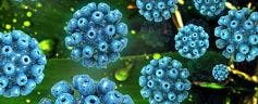 CDC Report Focuses on Slowing Hepatitis C Infection Rate