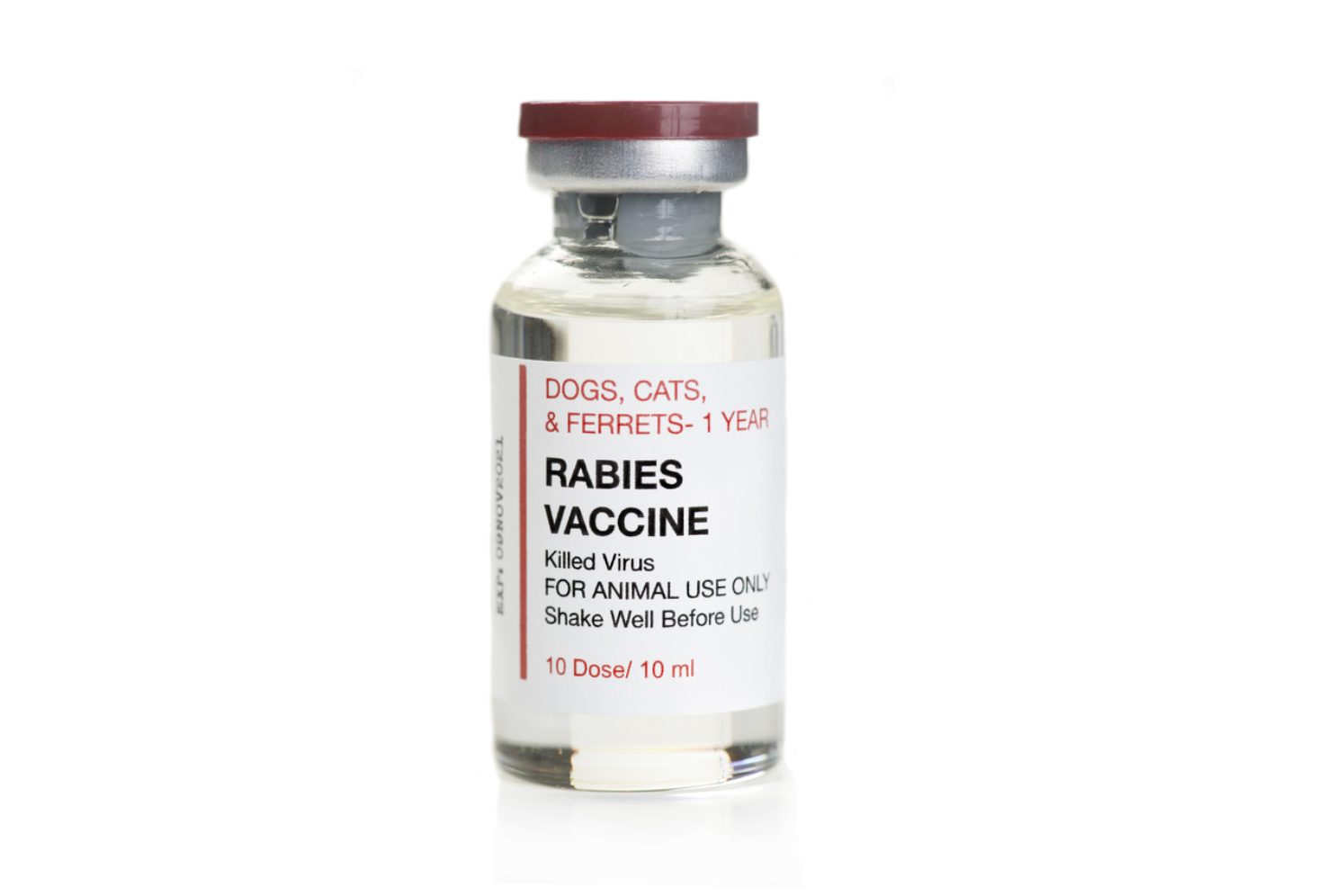 Human Rabies Immunoglobulin Post-Exposure Prophylaxis