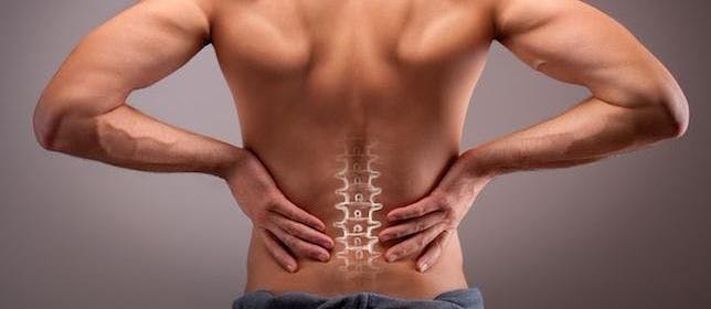Low Back Pain: Causes, Management, and Prevention Strategies