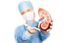 5 Key Sessions at the American Society of Nephrology Kidney Week