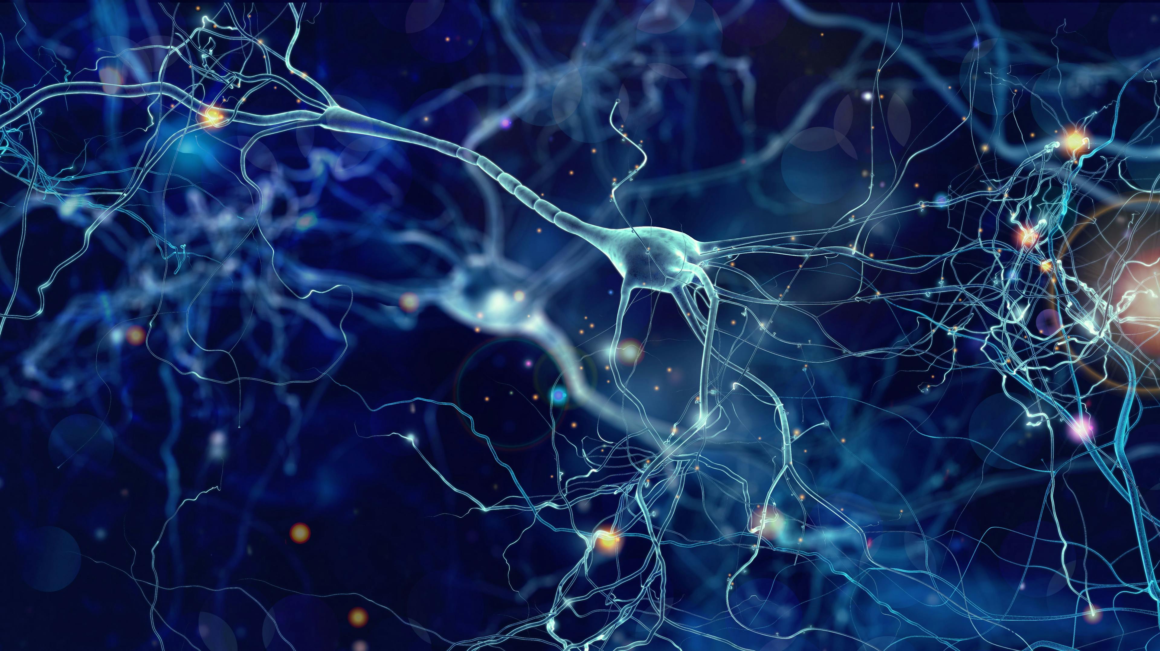 Neurons cells concept | Image Credit: whitehoune - stock.adobe.com