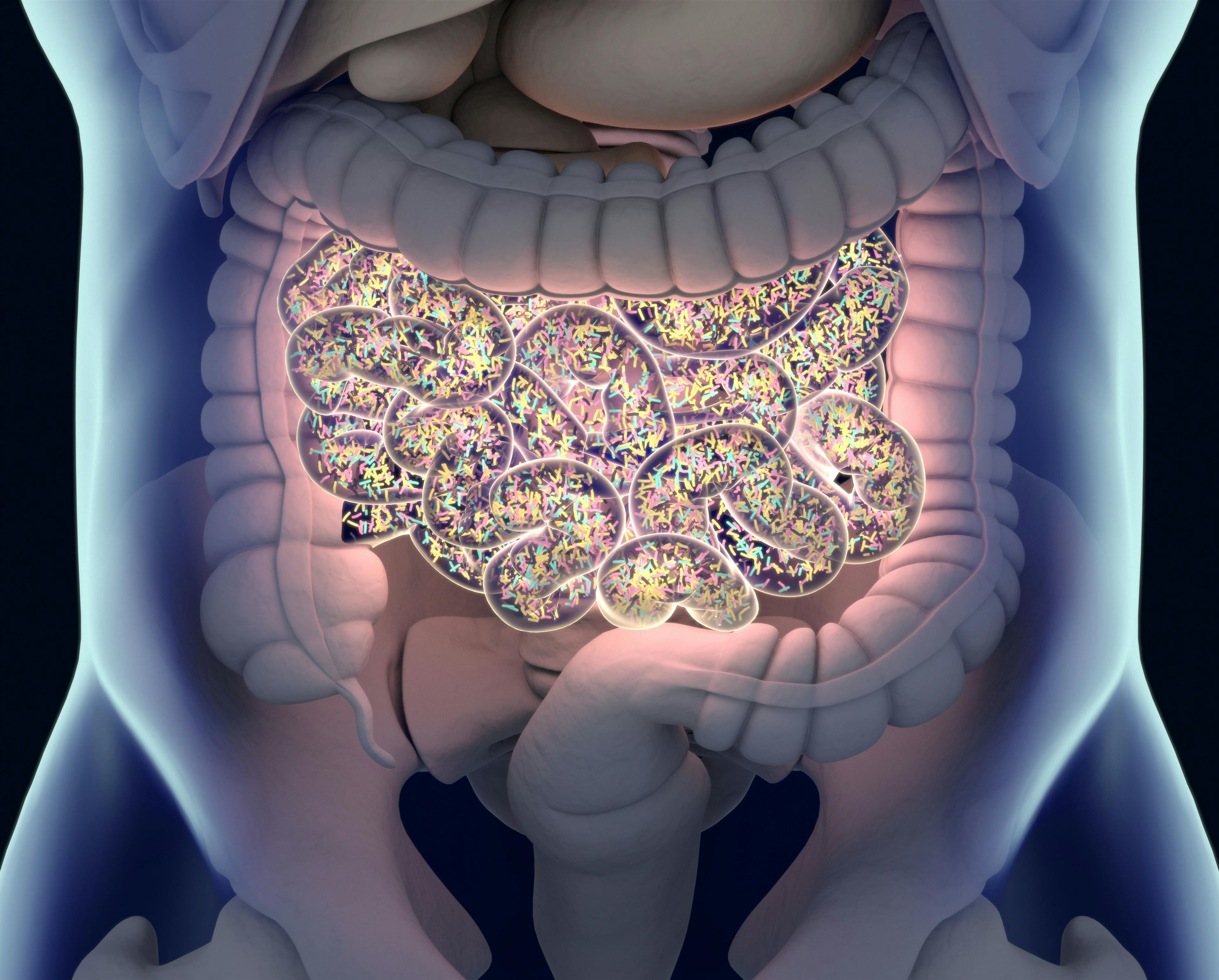 Gut bacteria , gut flora, microbiome. Bacteria inside the small intestine, concept, representation. 3D illustration - Image credit: Anatomy Insider - stock.adobe.com