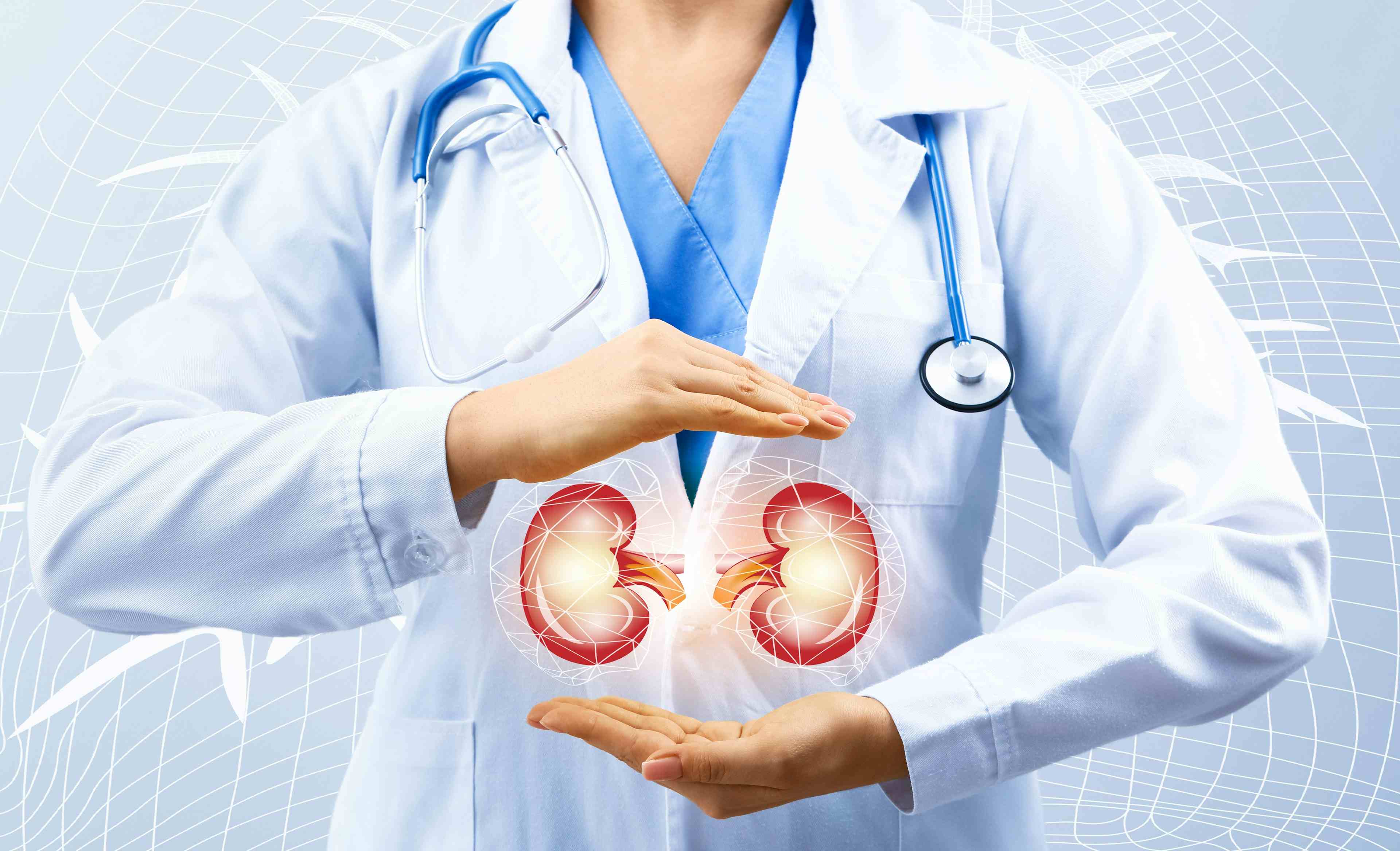 Physician and kidneys 