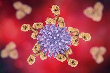 Researchers Suggest That Engineering Specific B Cell Response Could Make the First HIV Vaccine Possible