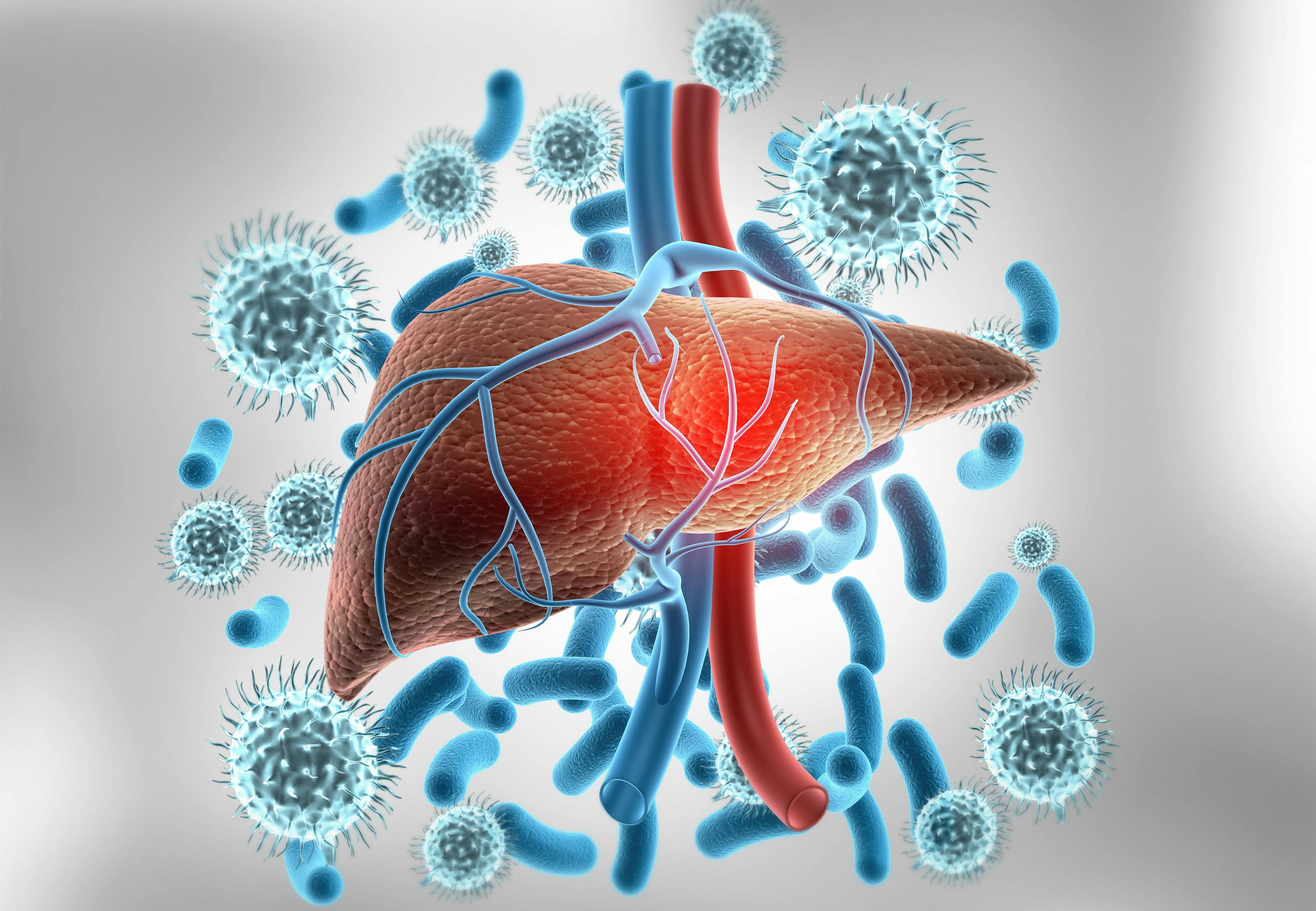 Human liver anatomy with hepatitis virus. 3d illustration | Image Credit: Rasi - stock.adobe.com