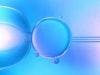 Can Infertility be Treated with Stem Cells?
