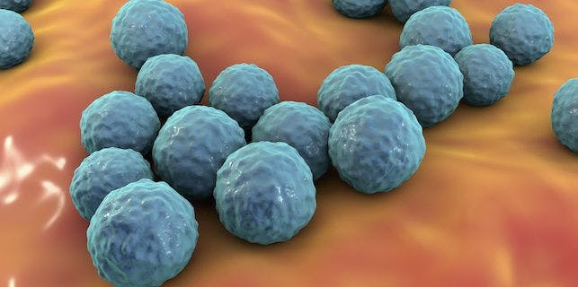 New Molecules Have Potential to Fight Vancomycin-Resistant Enterococcus