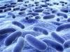 Gut Microbes May Influence Chemotherapy Side Effects