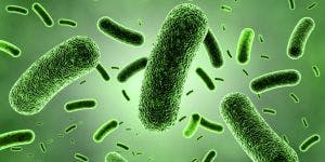 New Technologies Harness Genetics in Superbug Fight