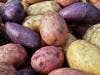 Purple Potatoes Can Protect Your Colon from Cancer