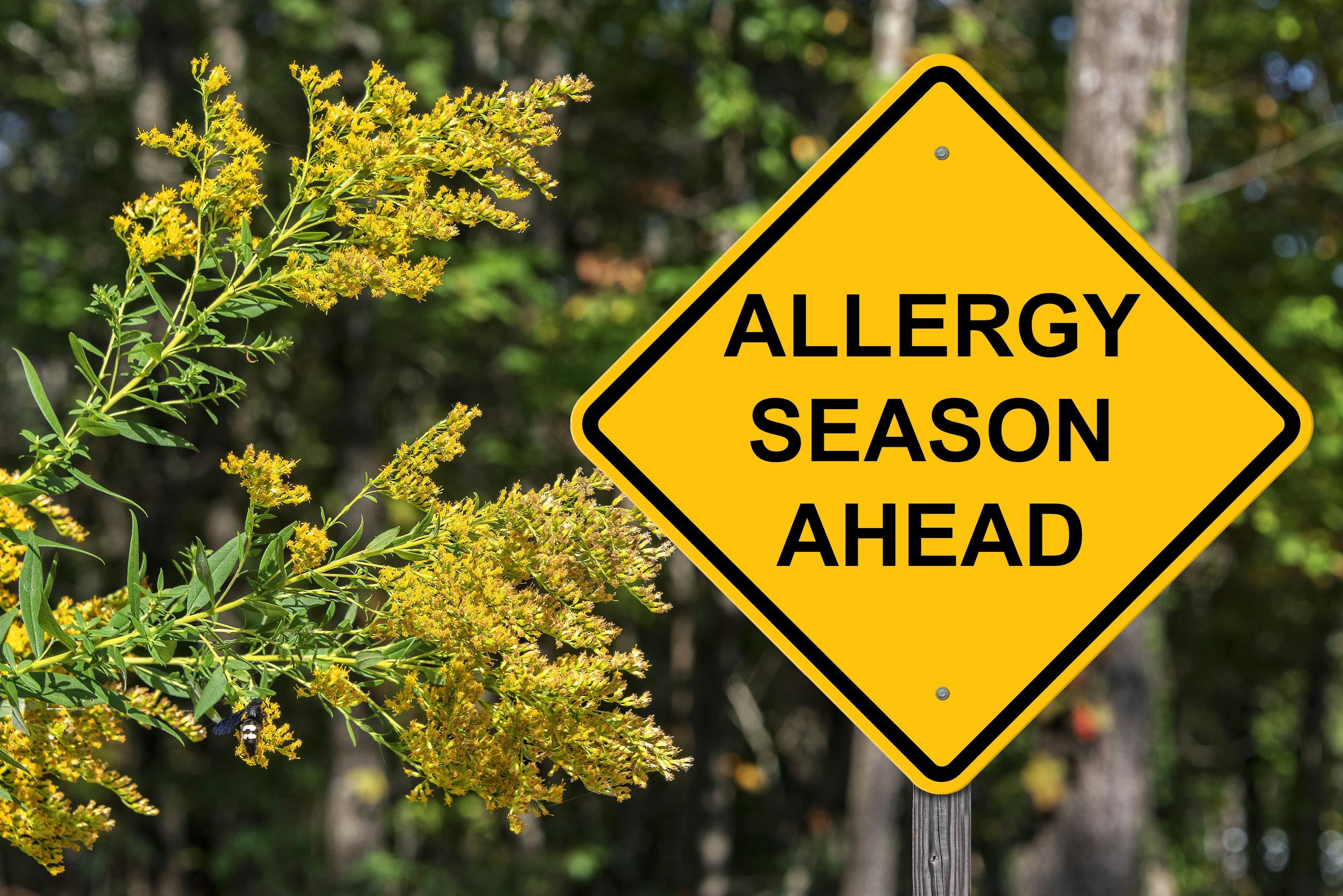 Caution: Allergy season ahead - Image credit: Jim Vallee - stock.adobe.com