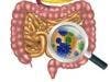 Gut Microbiota Play Key Role in Cancer Immunotherapy Efficacy
