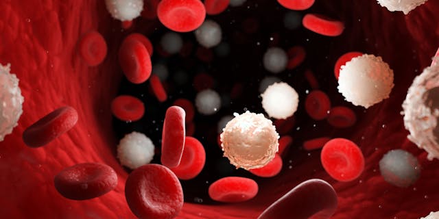 3D image of white blood cells due to leukemia -- Image credit: SciePro | stock.adobe.com