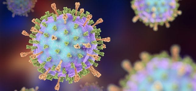 Update on Mumps Virus Outbreaks in Heavily Vaccinated Populations