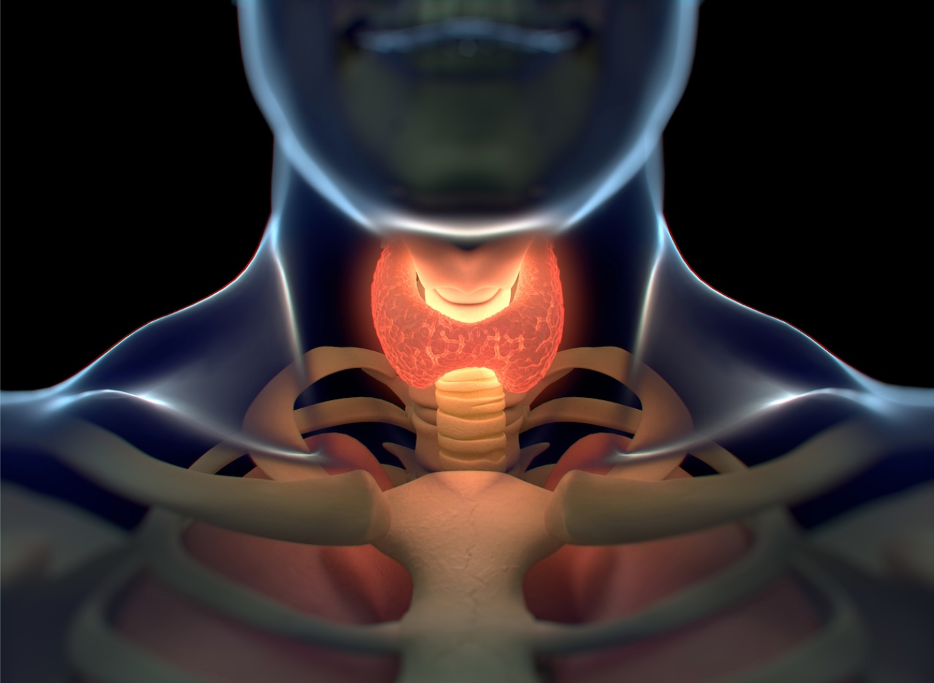 Oncology Overview: Selpercatinib in the Treatment of Medullary Thyroid Cancer