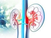 Jardiance to Enter Clinical Testing for Chronic Kidney Disease