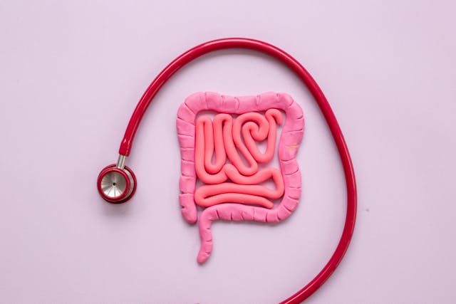 Human intestines colon organ shape. Digestive tract problems colitis or colon cancer - Image credit: 9dreamstudio | stock.adobe.com 