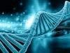 Prostate Cancer Genetic Test Can Provide Readout of Inherited Disease Risk
