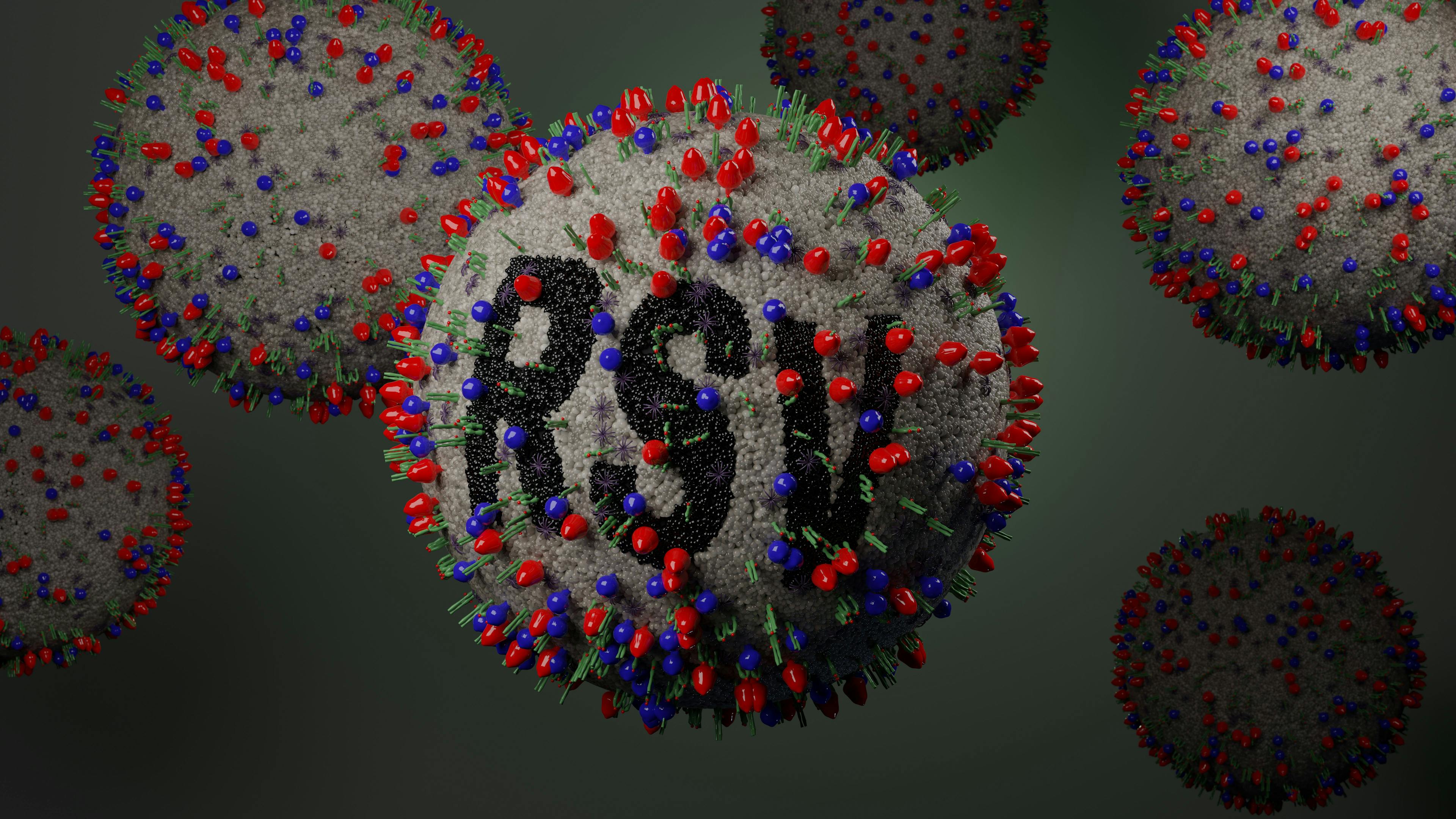 Illustration of Respiratory Syncytial Virus or RSV. Credit: Peter Hansen - stock.adobe.com