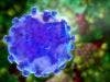 Antiviral Drugs Reduce Liver Cancer Risk in Patients With Hepatitis C