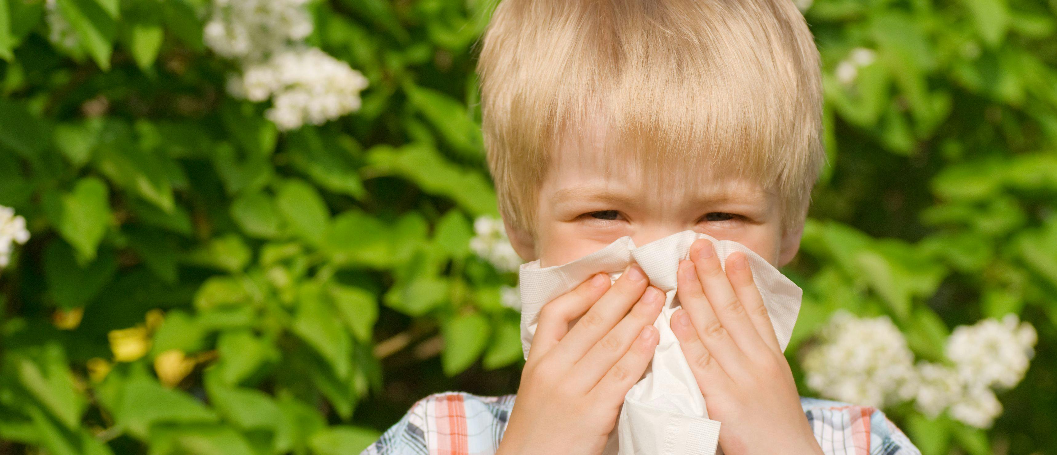 Can Exposing Infants to Allergens Help Reduce Childhood Asthma Risk?
