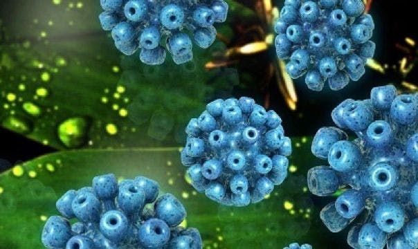 Hepatitis C Practice Pearls: Risk Factors, Testing