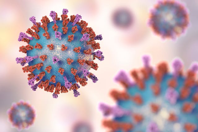 Respiratory syncytial virus, 3D illustration which shows structure of virus of two types of surface spikes. One of viruses which causes common cold | Image Credit: Dr_Microbe - stock.adobe.com