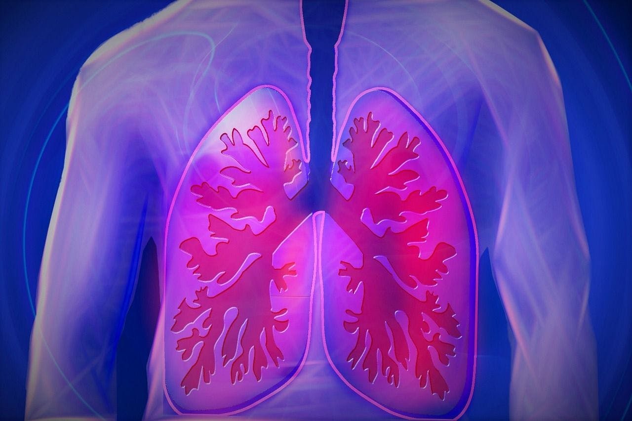 High Levels of Ozone, Wood Burning Linked to Chronic Obstructive Pulmonary Disease Among Smokers, Nonsmokers
