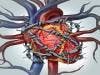 Coronary Artery Calcification Prevalence Higher in Diabetics, Patients with Psoriasis