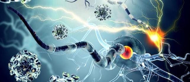 Study: Genetic Risk Variant Linked to Astrocytes Increases Risk of MS