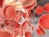 FDA Accepts BLA for Subcutaneous Version of Blood Cancer Drug