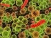 Intestinal Bacteria Can Worsen Health of HIV-Infected Patients