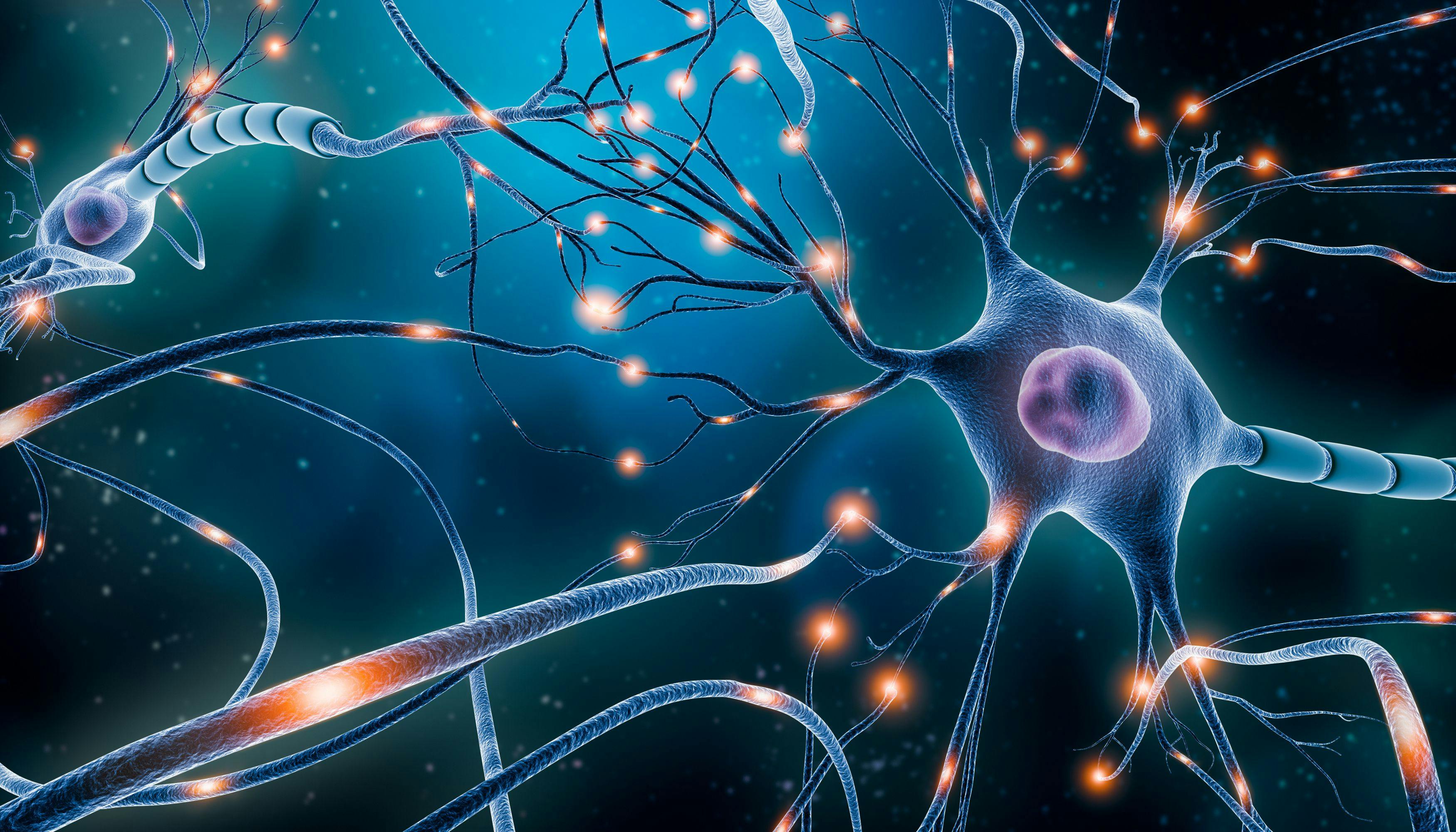 Neuron cells, brain activity -- Image credit: Matthieu | stock.adobe.com