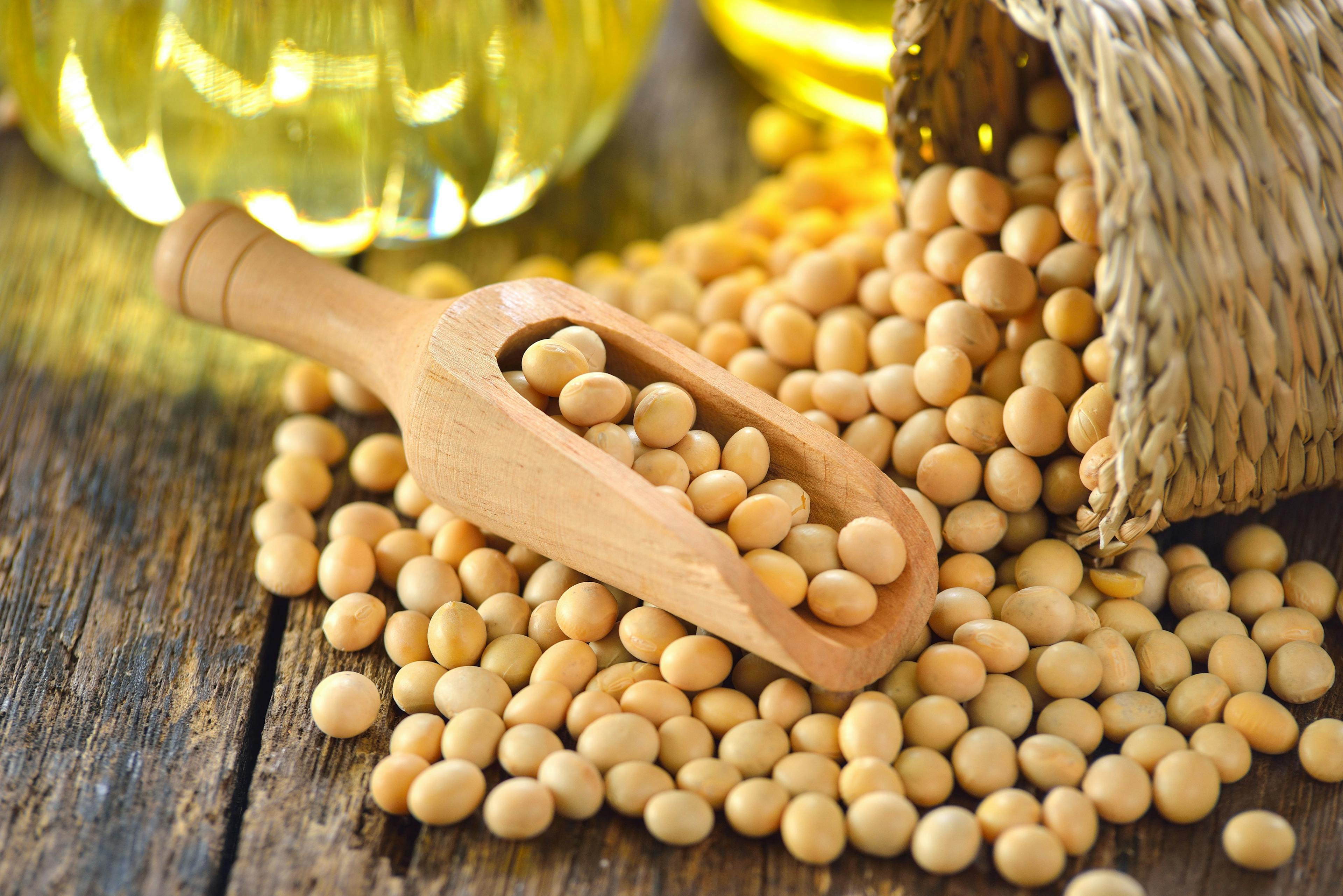 Soybean Protein Blocks LDL Cholesterol Production, Reducing Risks of Metabolic Diseases