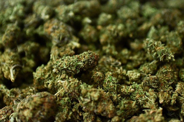 Study Finds Cancer Patients Use Less Marijuana Than General Public