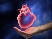 Drug Combo Improves Activity in Heart Failure Patients