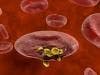Malaria Parasites Show Promise as Cancer-Killing Therapy
