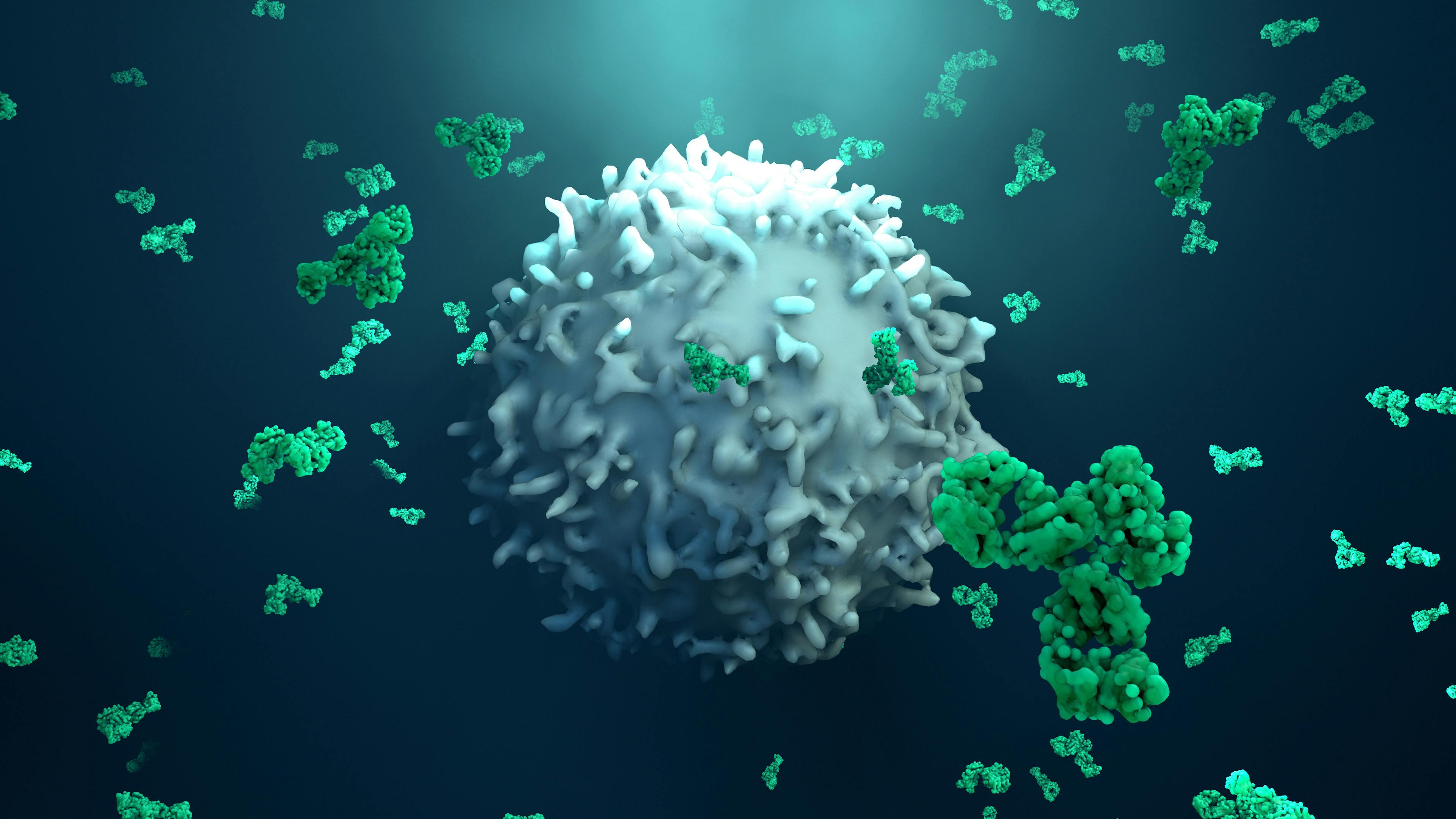 Antibodies attack a cancer cell or virus | Image Credit: Design Cells - stock.adobe.com
