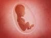 Research to Explore How HIV Affects Immune System of Infants In Utero